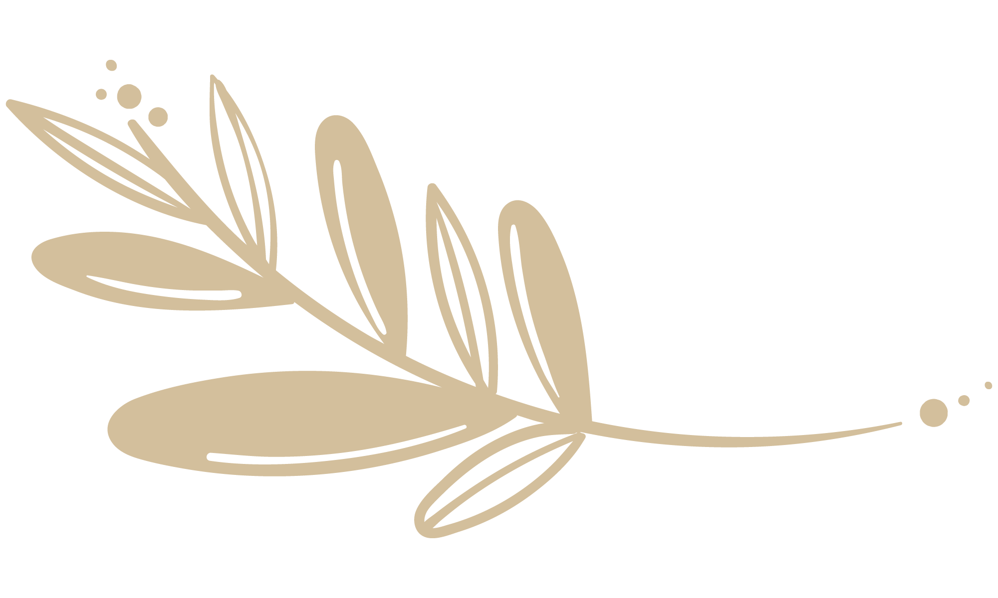 recursos diseño bodas